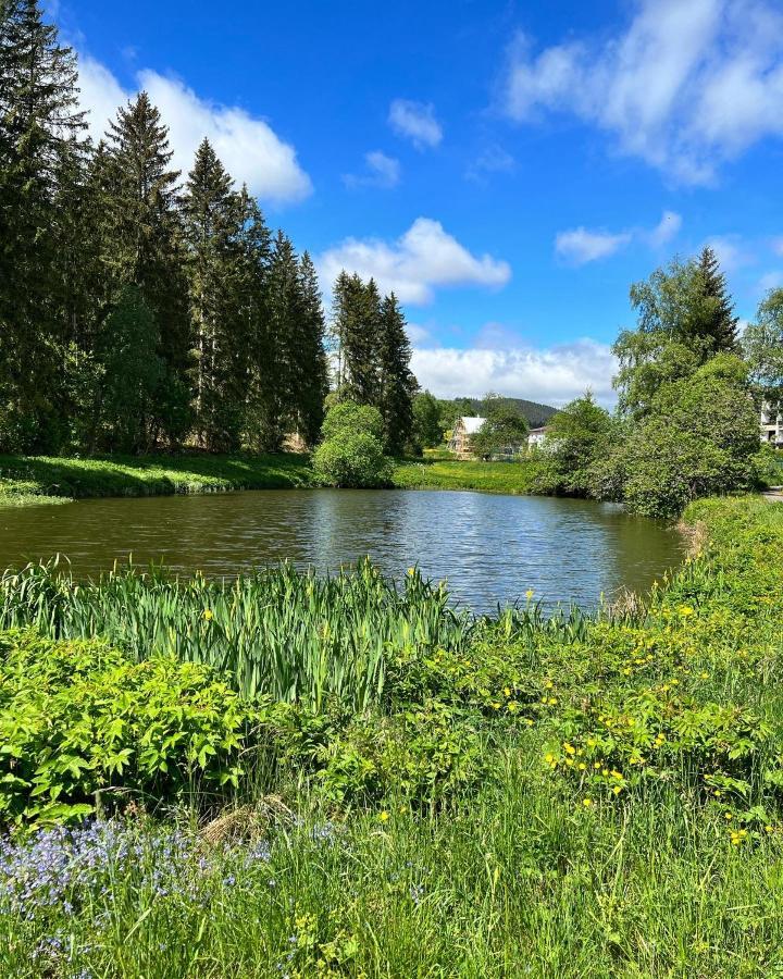 伦茨基希Haus Im Schwarzwald别墅 外观 照片